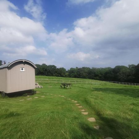 Molly Dishwasher Shepherds Hut Frant Esterno foto