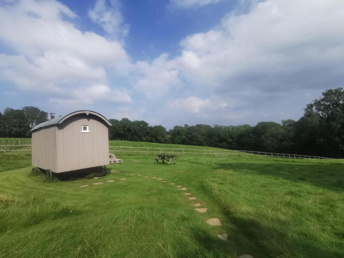 Molly Dishwasher Shepherds Hut Frant Esterno foto