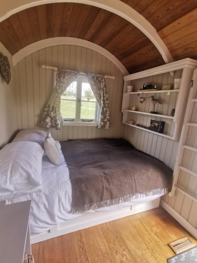 Molly Dishwasher Shepherds Hut Frant Esterno foto