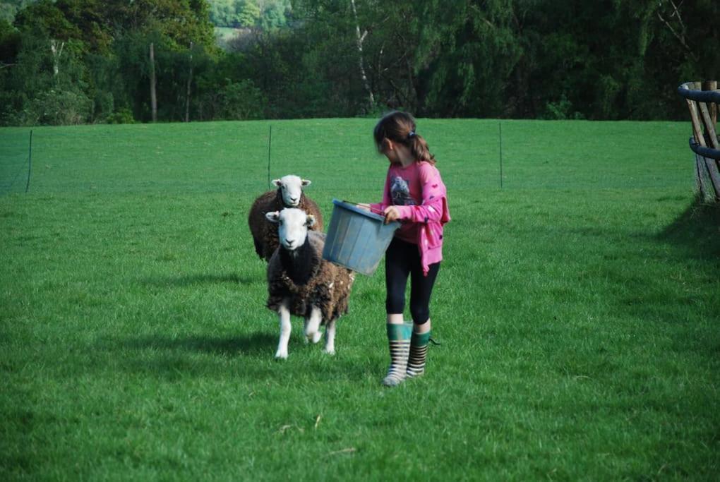 Molly Dishwasher Shepherds Hut Frant Esterno foto